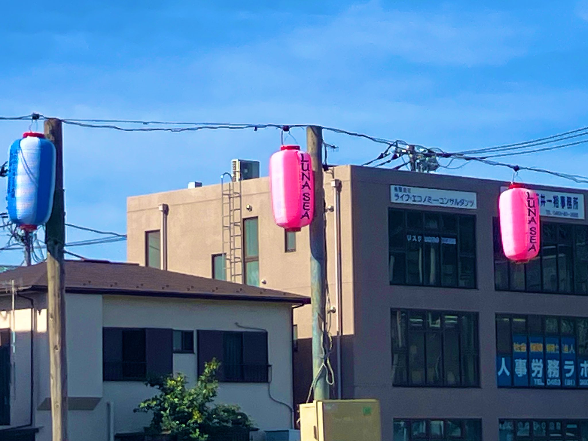 kaiu (@ls25trueblue) / X