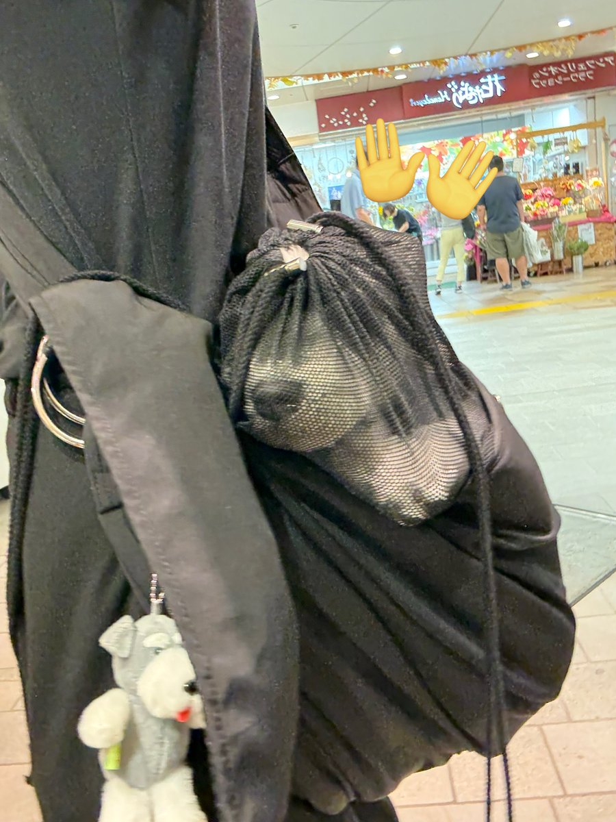 全身ネットに入れられてしまった犬🐶🤍