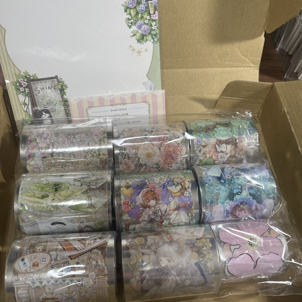 スモールセレクトさん<a href="/smallselect/">スモールセレクト｜海外マステ、紙もの通販</a> から予約注文したpetテープが届きました✨✨
ギフトもありがとうございます🎁

休日になったら開封しよ！
コラージュしたいな🫠