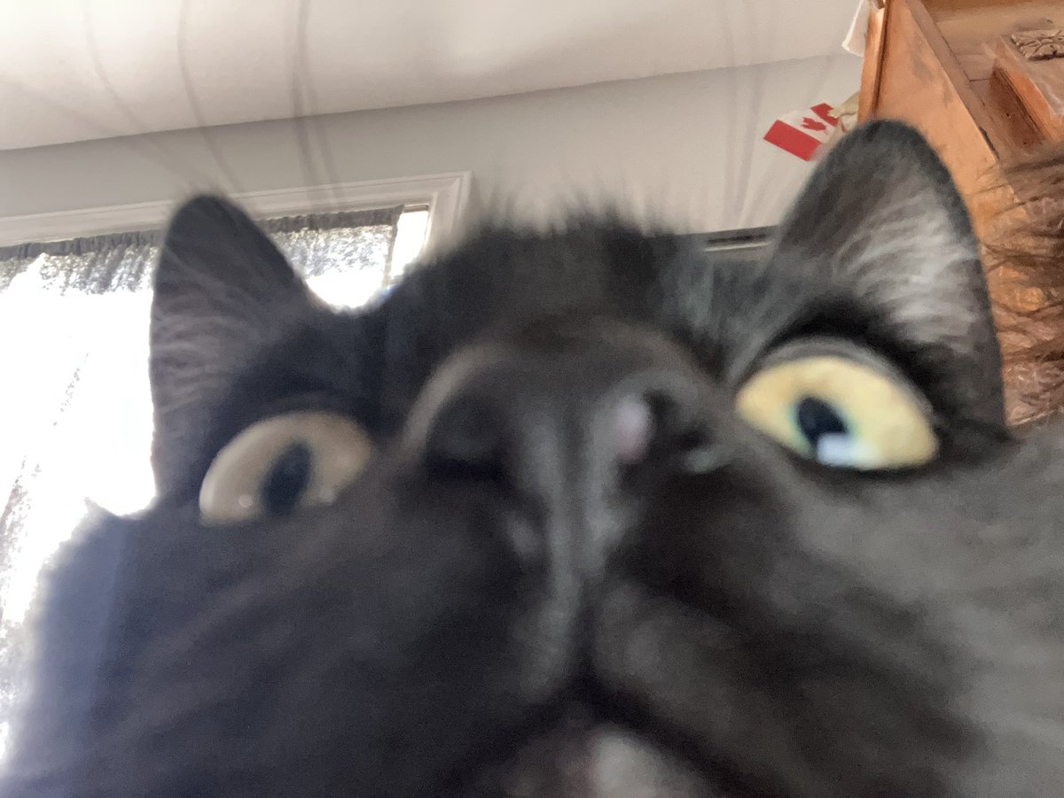 Whatcha doinnnn
