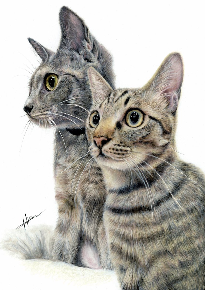 ひーさん｜色鉛筆画✏️ (@hi3_xxx) / Posts / X