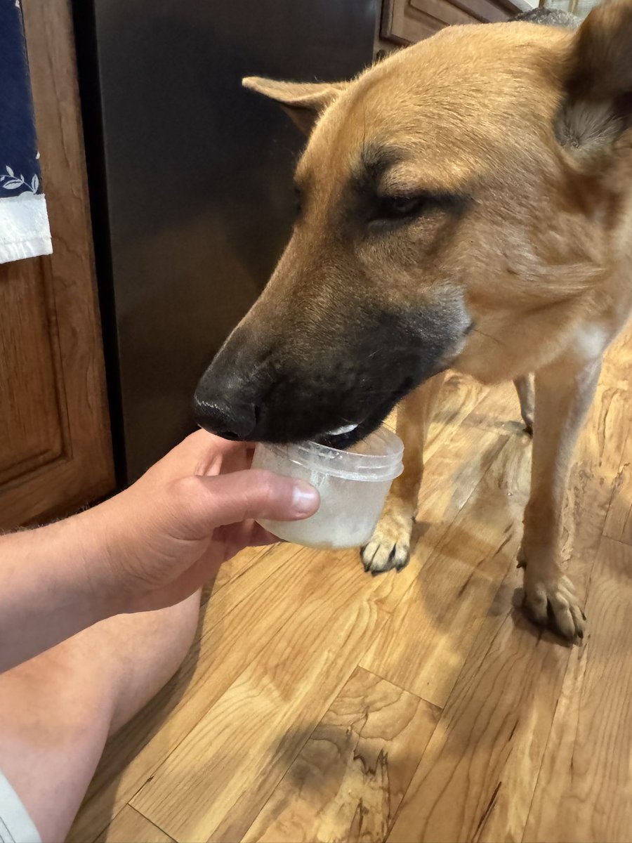 Kyle Rutledge, MS, MHA, AT, ATC tweet media