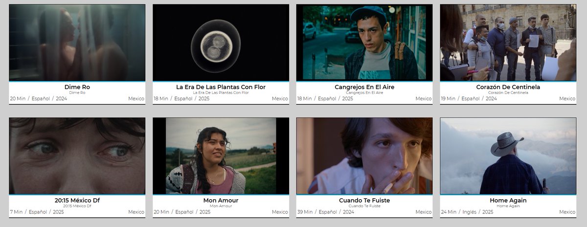 Gabrielgtzg's tweet photo. En la plataforma @festhome está toda la programación del @shortsmexico de este 2025.
Y como siempre hay una selección de #QueerShorts 🎞️🏳️🌈 y se puedem #Gartis ver en todas las Américas 🌎
https://t.co/xCa6FGE04N https://t.co/sQAZPWLOrv