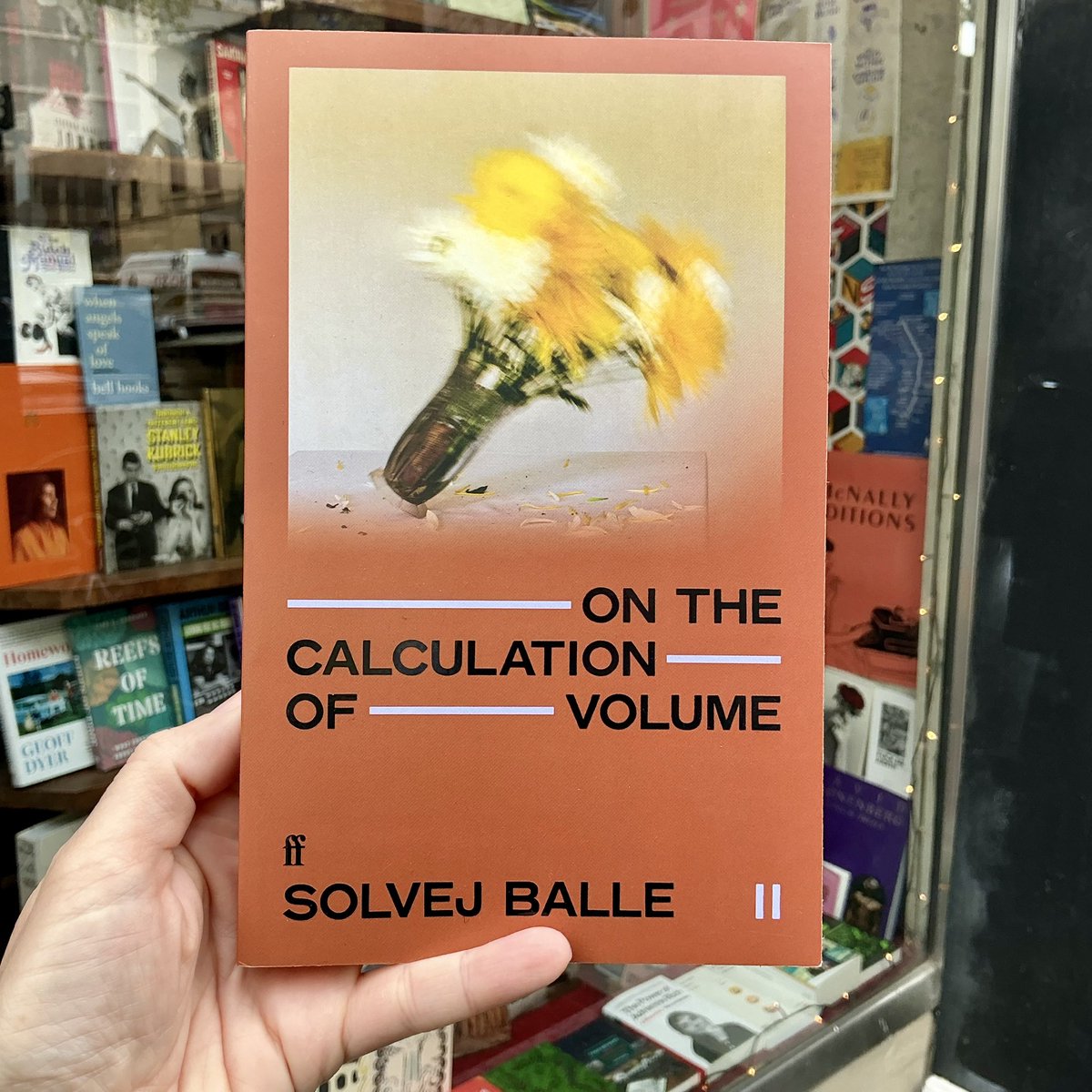 Anna has been reading &amp; loving The Calculation of Volume II by Solvej Balle (translated from the Danish by Barbara J. Haveland).