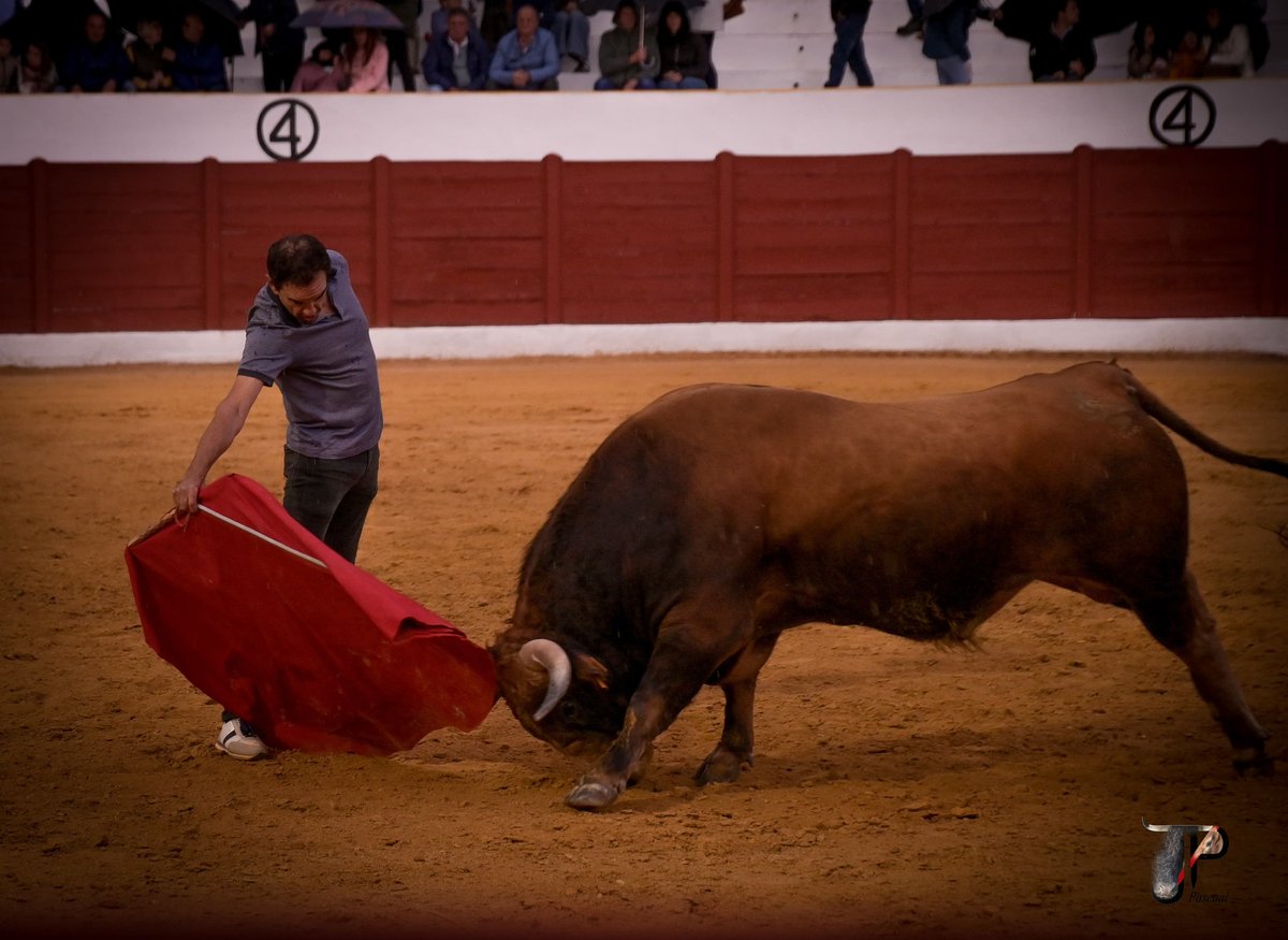 espioja's tweet image. Mirabajo y Javier chacón raza y clase