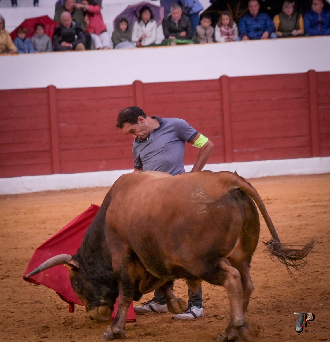 espioja's tweet image. Mirabajo y Javier chacón raza y clase