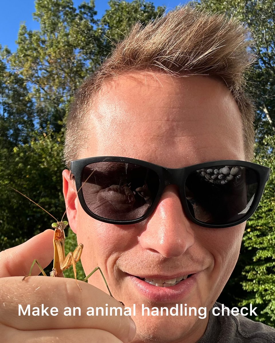 Praying mantis, the coolest bug to ever exist.

#dnd #funny #gaming #bug