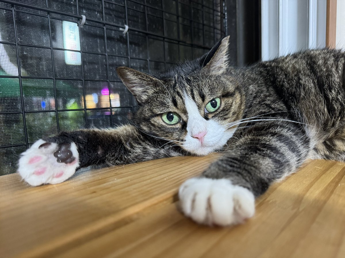 건꼬즈는 잘지내고 있답니당❣️