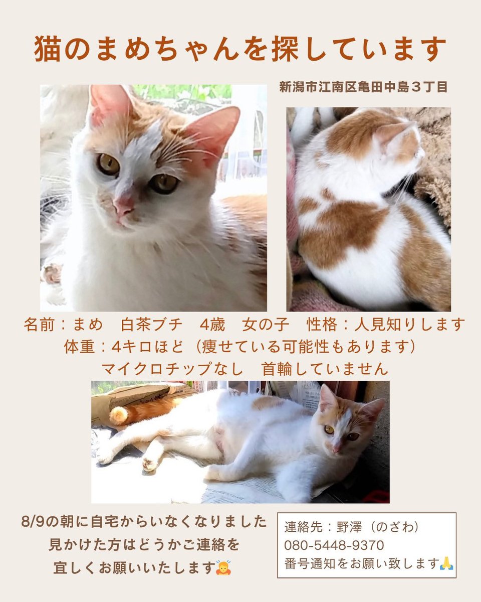 新潟動物ネットワーク tweet media