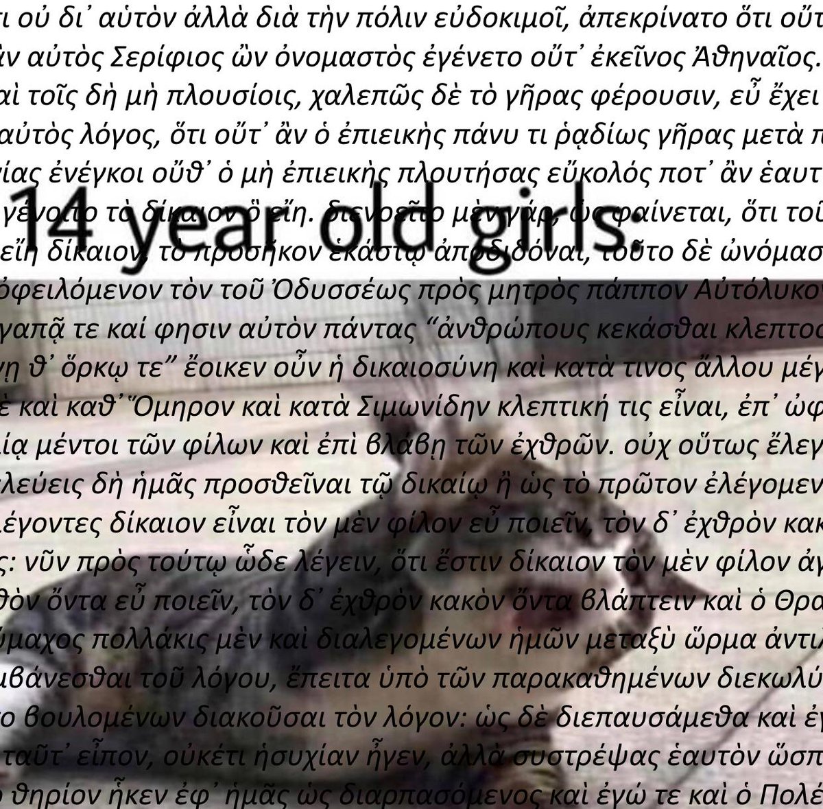 the obrado (@trashmangarbagg) on Twitter photo 