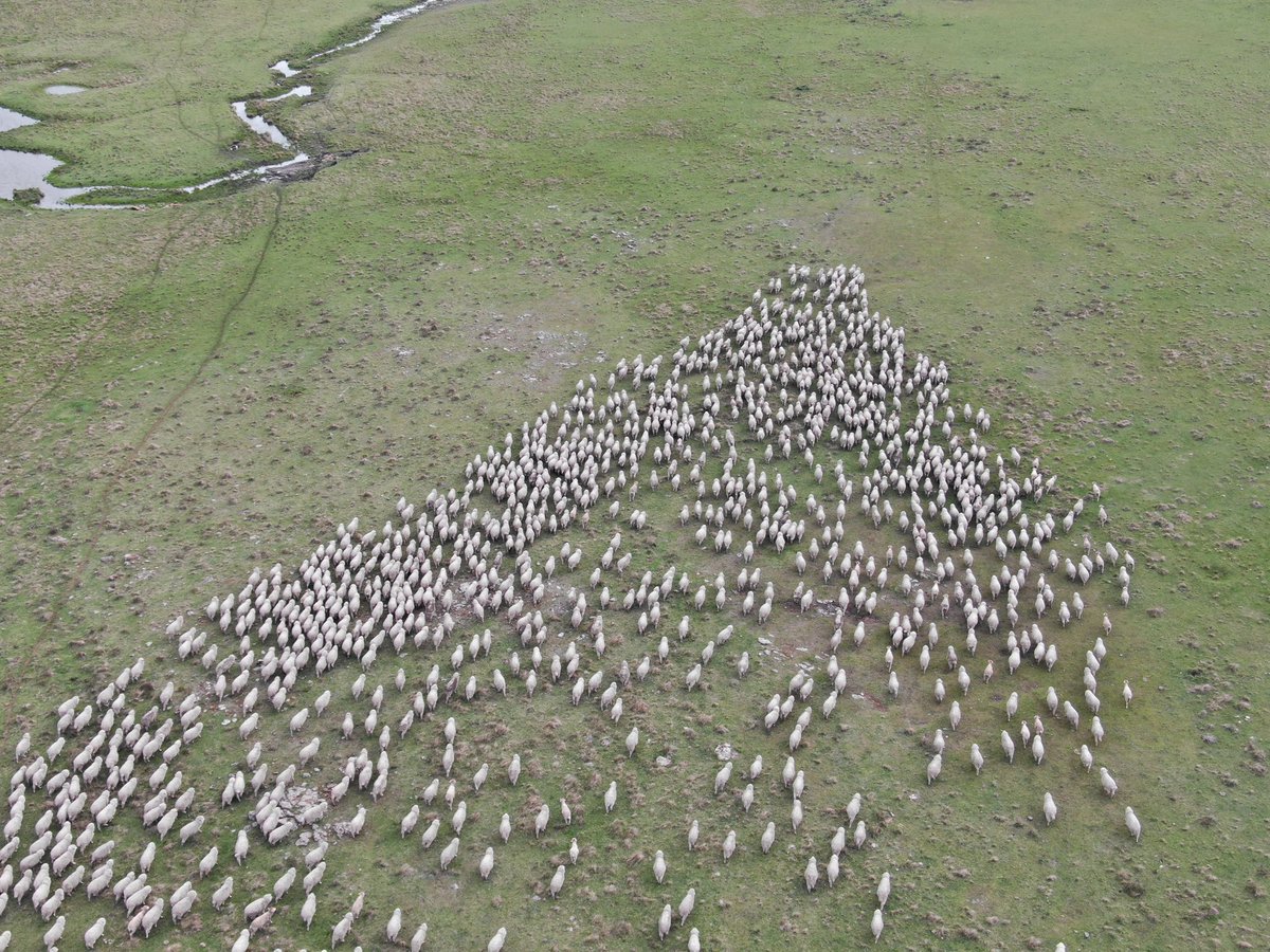 CerroDelBombero (@bomberodel) on Twitter photo 