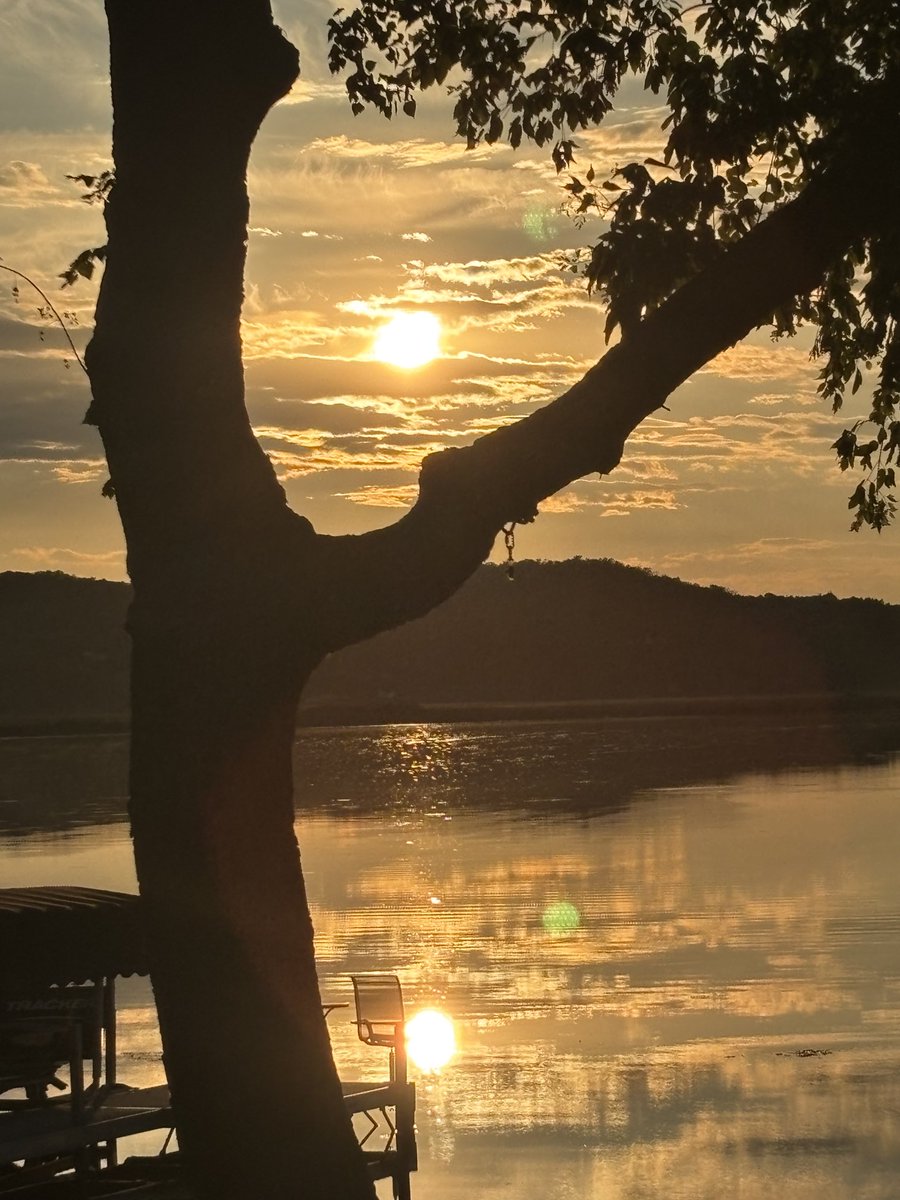 Jerry Ness tweet media