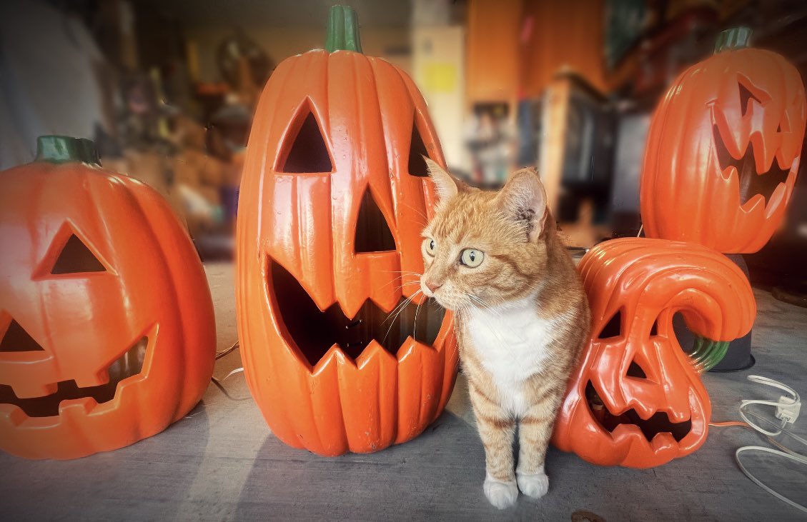 Did somebody say SPOOKY?! 👻🎃