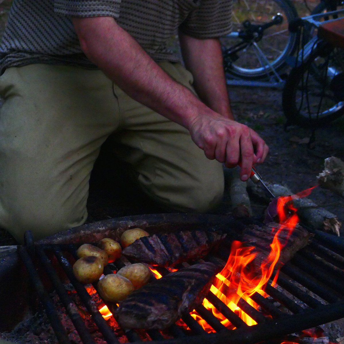 shagbark_hick's tweet image. We are entering the best time of the year.

Remember, there are places on earth where it is "always summer," "always winter," "always springtime" -- but there is nowhere on earth where it is "always autumn."

It's a rare season; a fleeting joy. Enjoy it while it lasts. Let the…