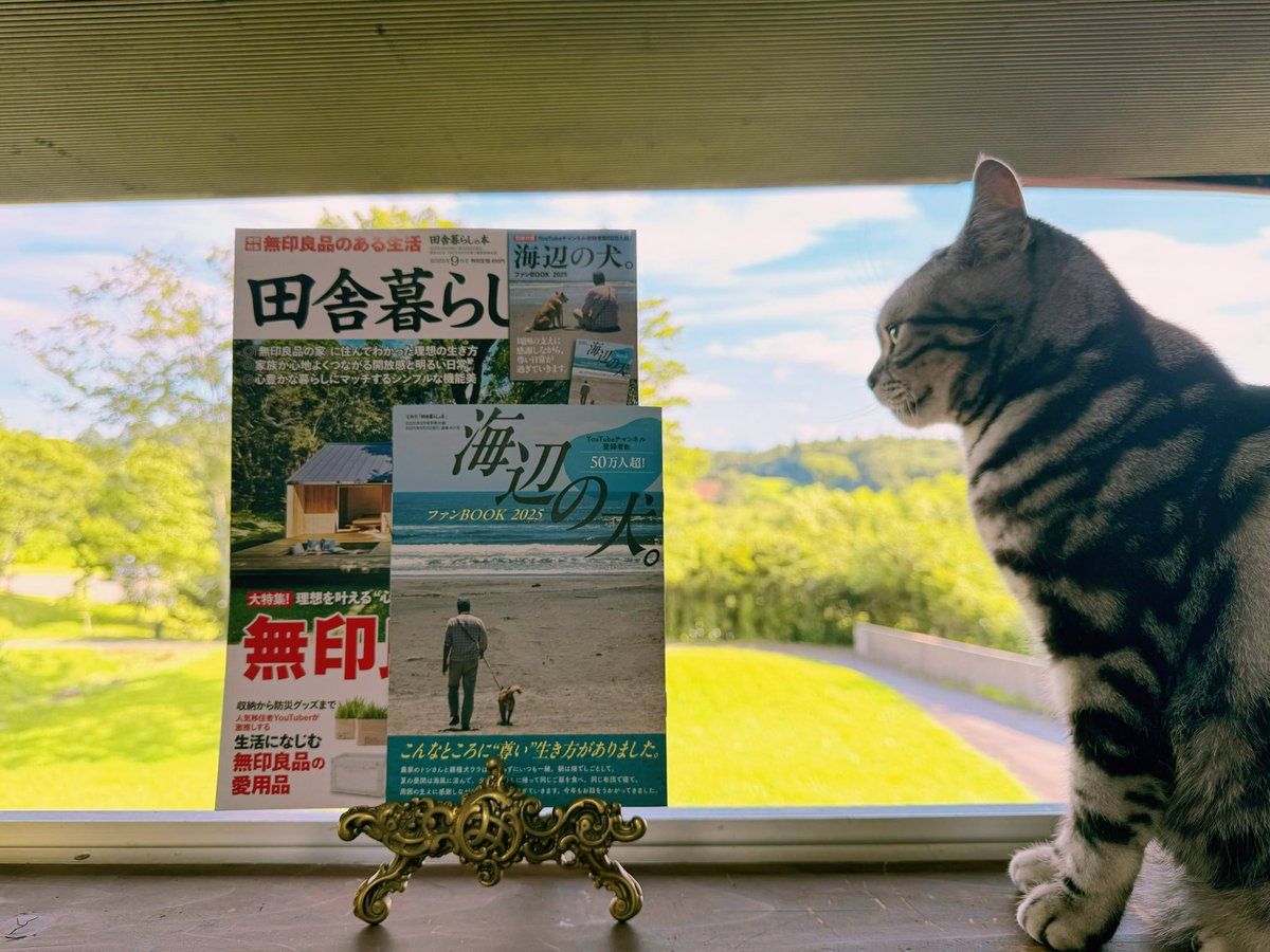 Necosui_Youkai's tweet image. 【 #田舎暮らしの本 #海辺の犬ファンBook 】
おミカ様からいただいたプレゼント📕
大好きな #YouTuber #海辺の犬 のファンBook付きが嬉しい🐕💕
もう二度目を通した👁👄👁🔍✨
ありが玉三郎にござりんす🙏💕
#息子チェック
#素敵な移住生活
#エシカルな暮らし
#丁寧な暮らし
