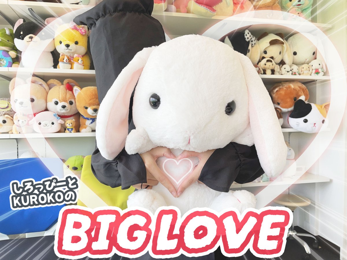 ☆牛画面☆ 全ての商品一覧｜アミューズ公式オンラインショップ