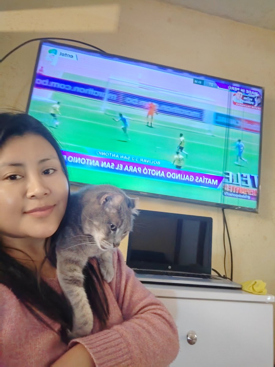 maybellpresent's tweet photo. @teledeportes_tv @ClubALoficial @PanamericanaTV #QuieroMiCamiseta #quieromicamiseta @ClubALoficial @PanamericanaTV @teledeportes_tv con el gatito aliancista, vamos con fe https://t.co/LMaW2aFWMd