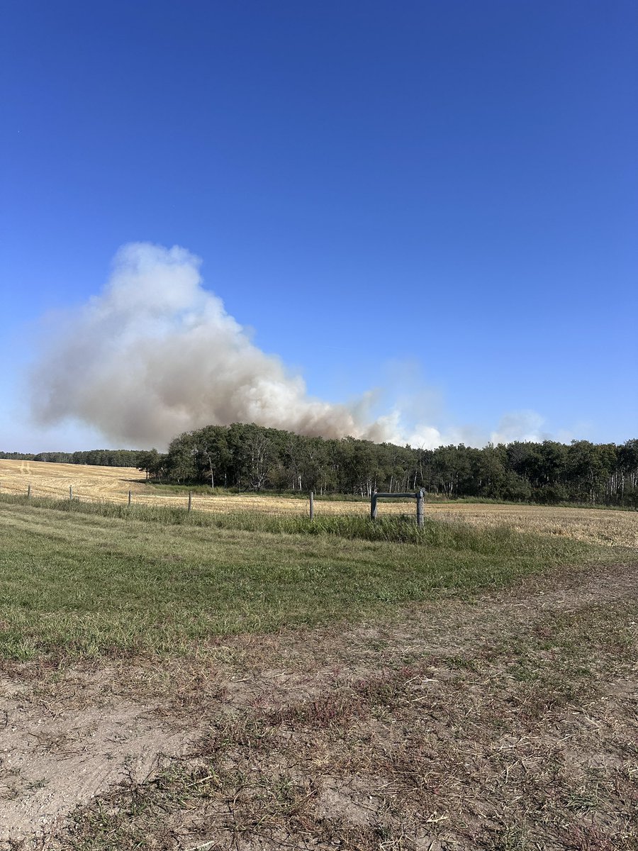 Had a little excitement this morning. Everybody and everything is ok except 30 acres of Barley. Thankful for good neighbours that drop everything and show with equipment to help.