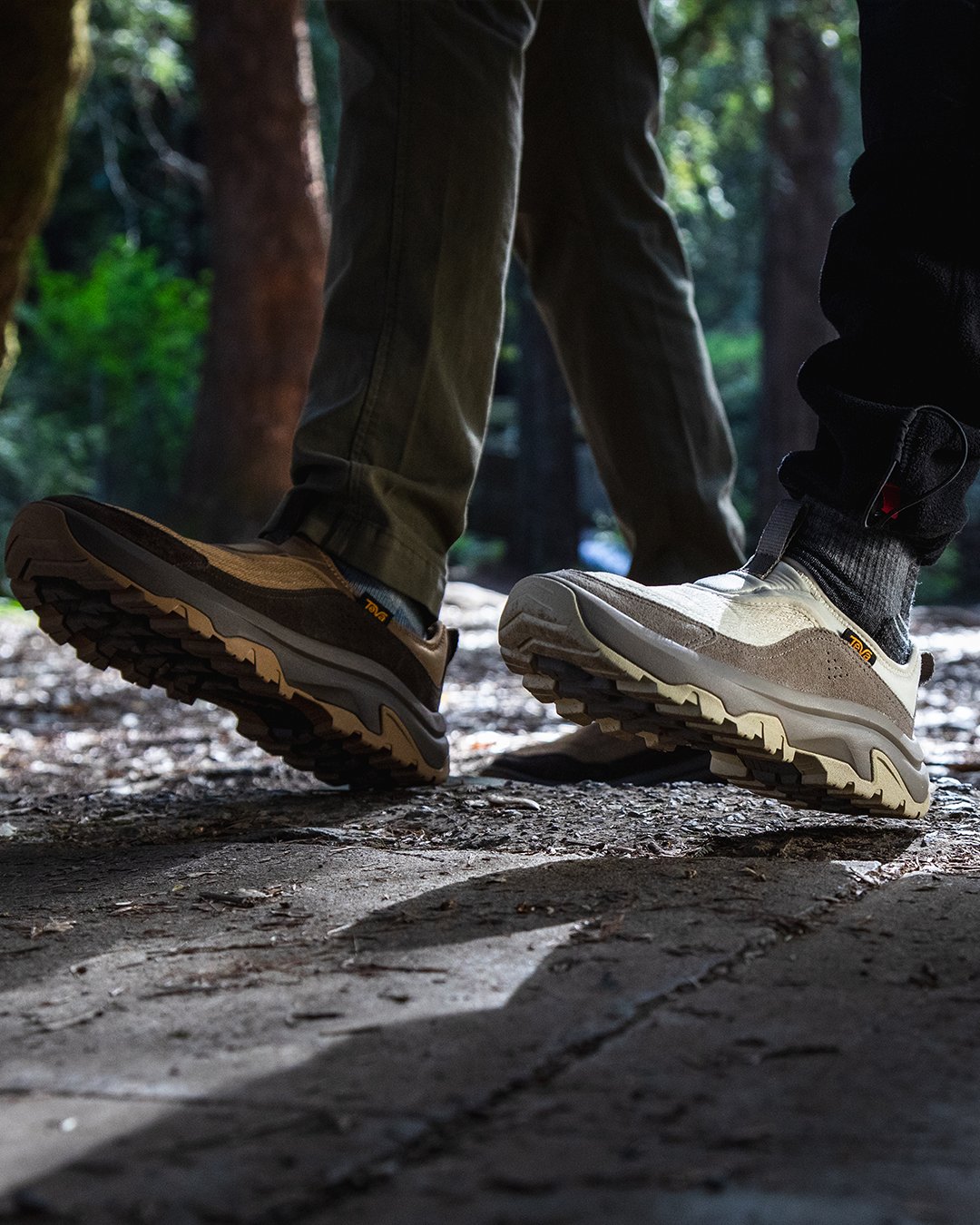 Teva_JP (@Teva_JP) / X