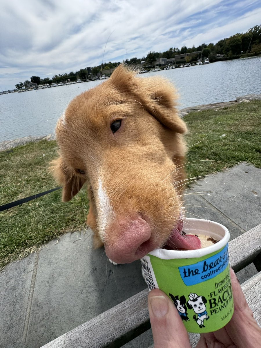 We stopped at the ice cream pawlor and I chose the bacon peanut butter flavor and the nice lady put lamb sprinkles on it for me! So delicious. 3/8