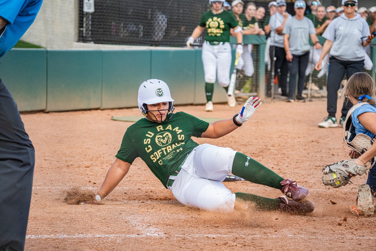 Colorado State Softball tweet media