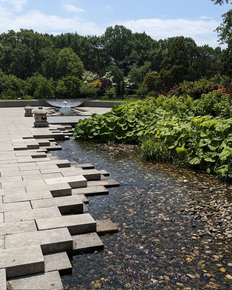 Blue Bubbles tweet media