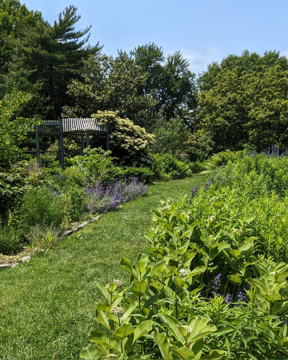 Blue Bubbles tweet media