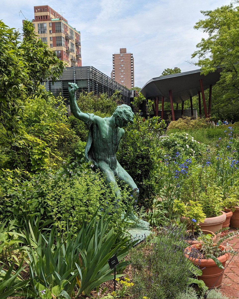 Blue Bubbles tweet media