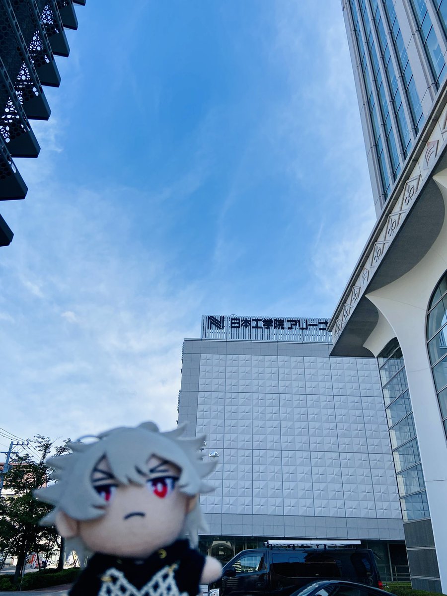 当日撮れなかったので、今朝📸☀️

💙🧡11th Liveありがとうー！！！💙🧡