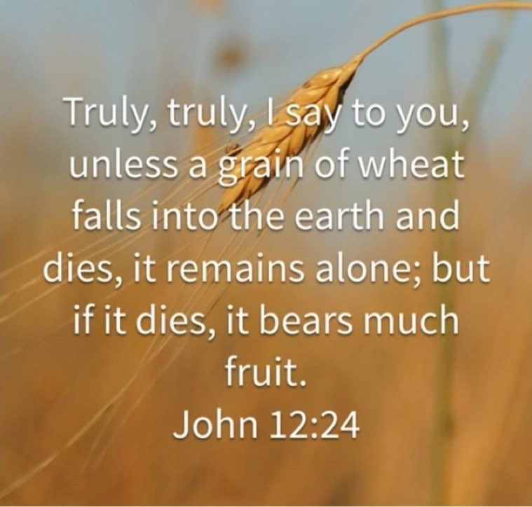 ⚜⚜LIZ⚜⚜ tweet media