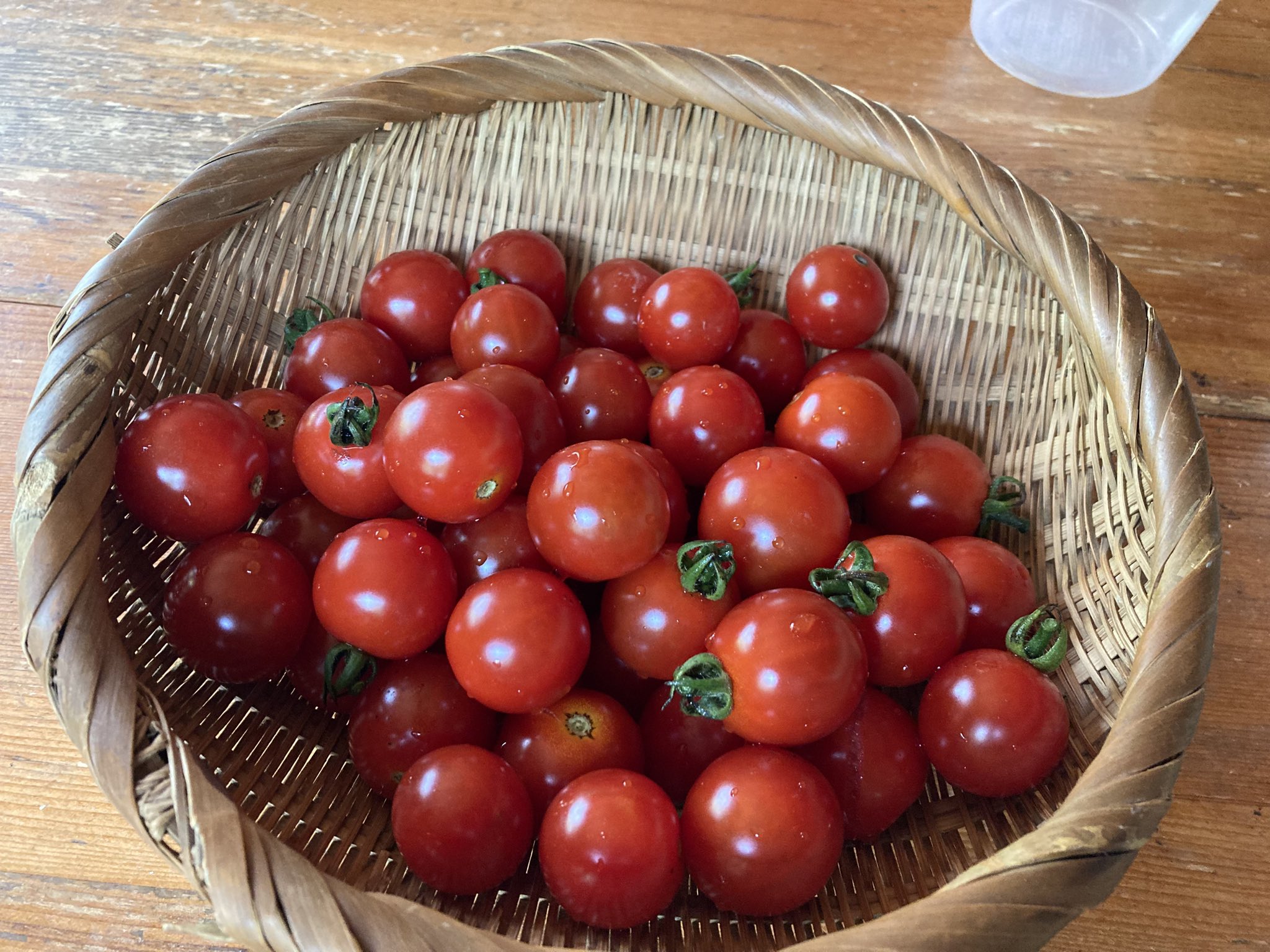 カボチャとトマトの置物 Amazon.co.jp: JSBWSFA 1個 ガラス 野菜 装飾 ガラス カボチャ