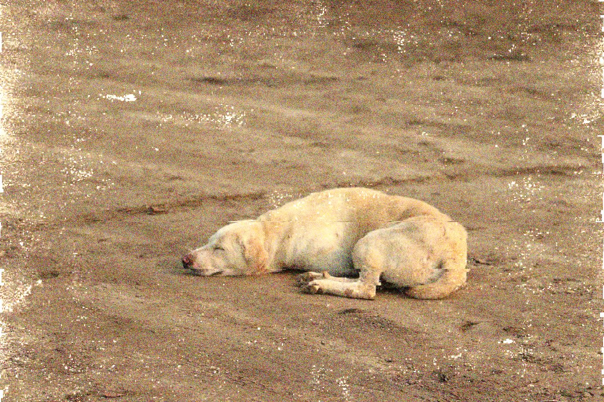 Dr. Death Defying ⚰️⚡️ tweet media