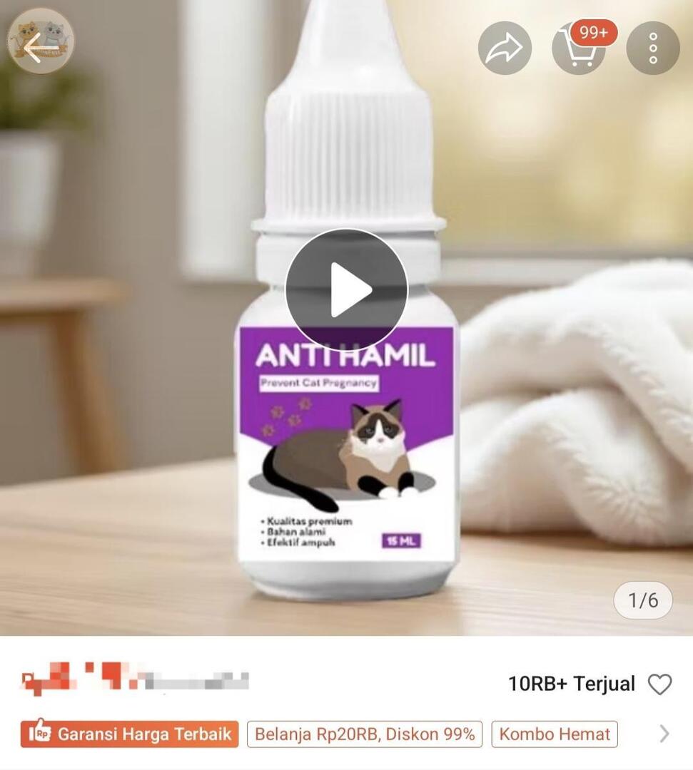 KochengFess v2 tweet media