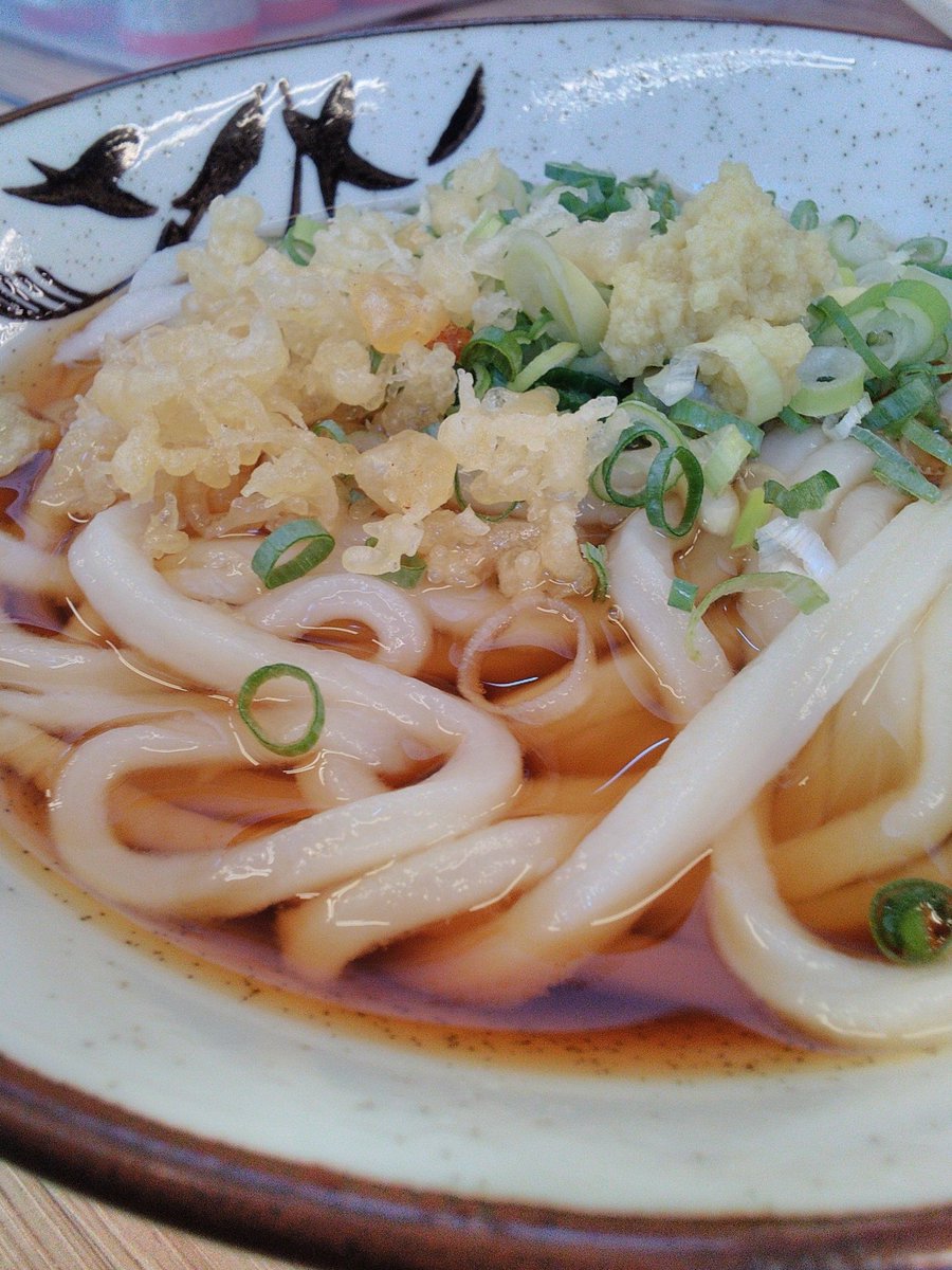 丸池製麺所 (@maruike_udon) / Posts / X