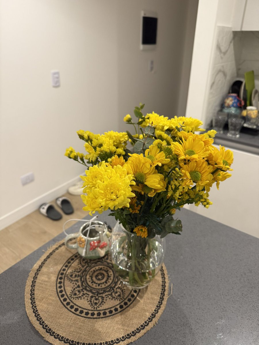 Hasta que una primavera me llegaron