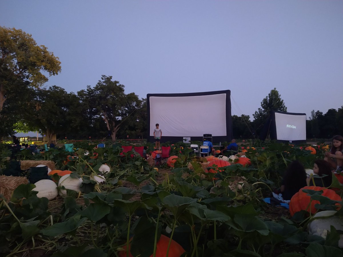 my_kinky_kitten's tweet image. Movie night at the pumpkin patch with the family! 🎃 #makingmemories #familyfuntime