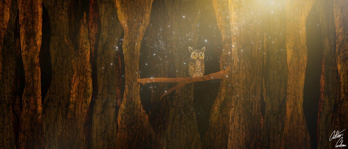 AshtonCard23441's tweet image. 🦉 ANNOUNCEMENT 🪵 

REDWOODS, an all-new original short film is going to be soaring in the forest this Fall 🍂 

Exclusively on my YouTube channel; Ashton’s Workshop.

#procreate #animationfeature #comingsoon