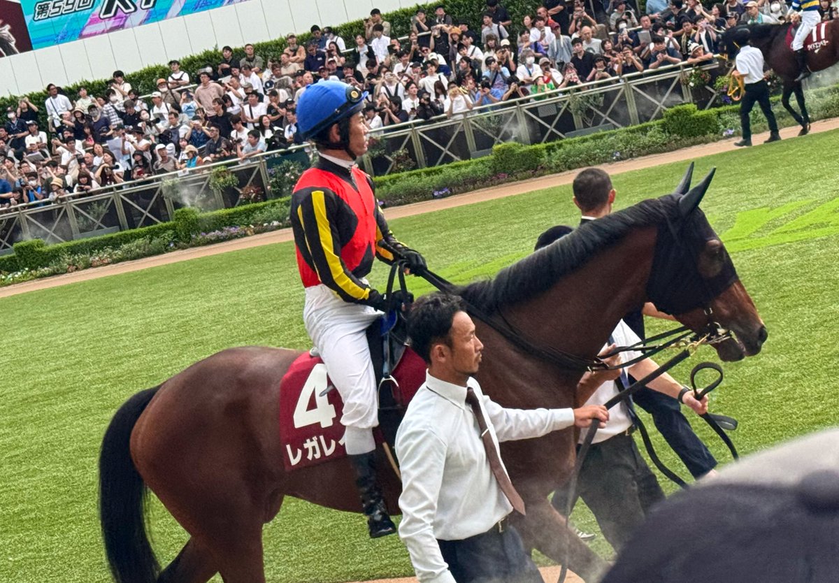 dai_2451's tweet photo. 2025/9/21 オールカマー
レガレイラ見たくて芝観戦
トータル収支はマイナスだけど、気持ちはルンルンで🥴良い日曜日でした☀️ https://t.co/iD269xGFTw