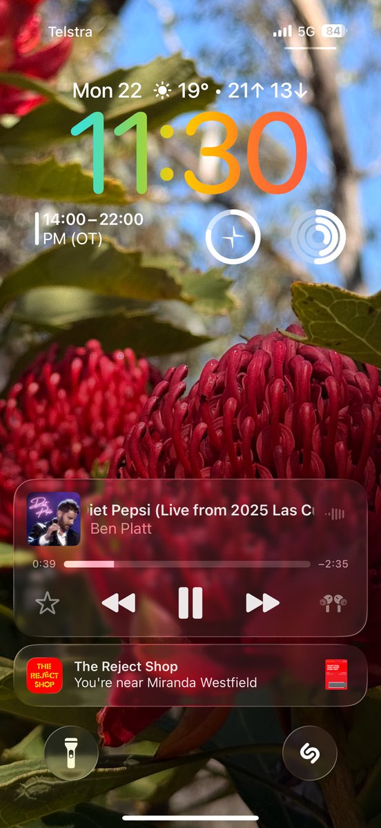 The Reject Shop gets a ★★★★★ rating for their Apple Wallet support; even shows on the lock screen when near a store (without needing to manually select / favourite stores)