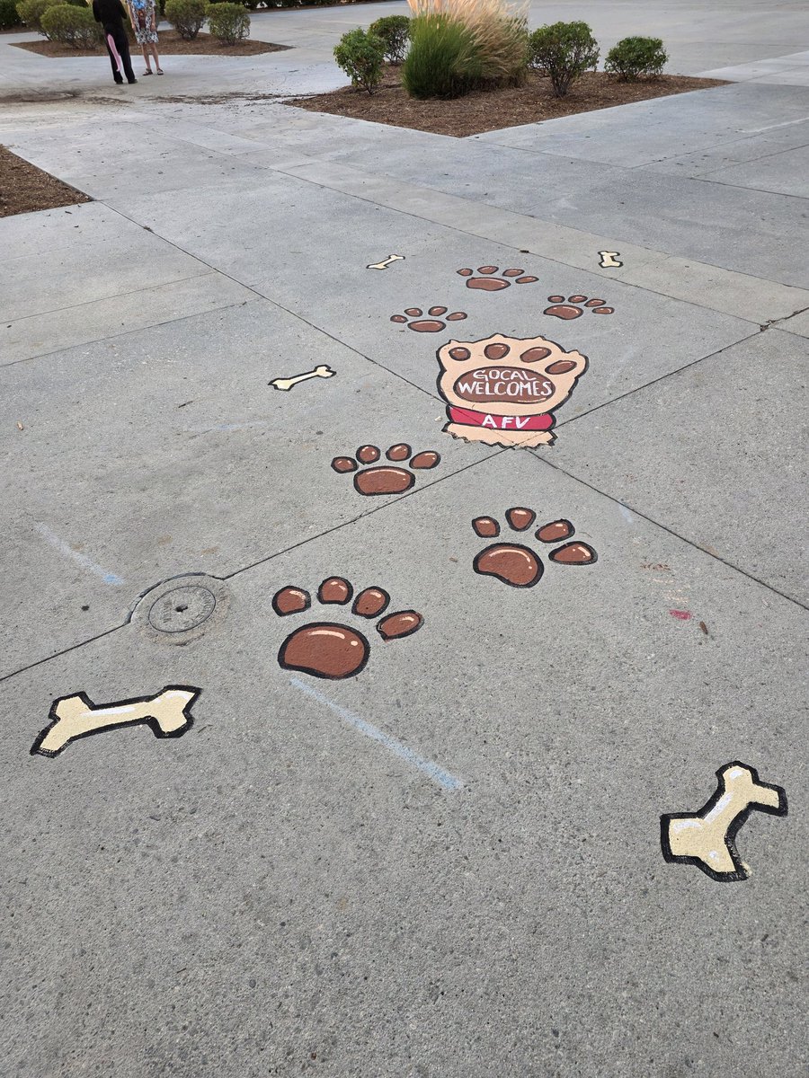 Saw this before I left AFC. Did you miss this pretty thing in front of the con space?