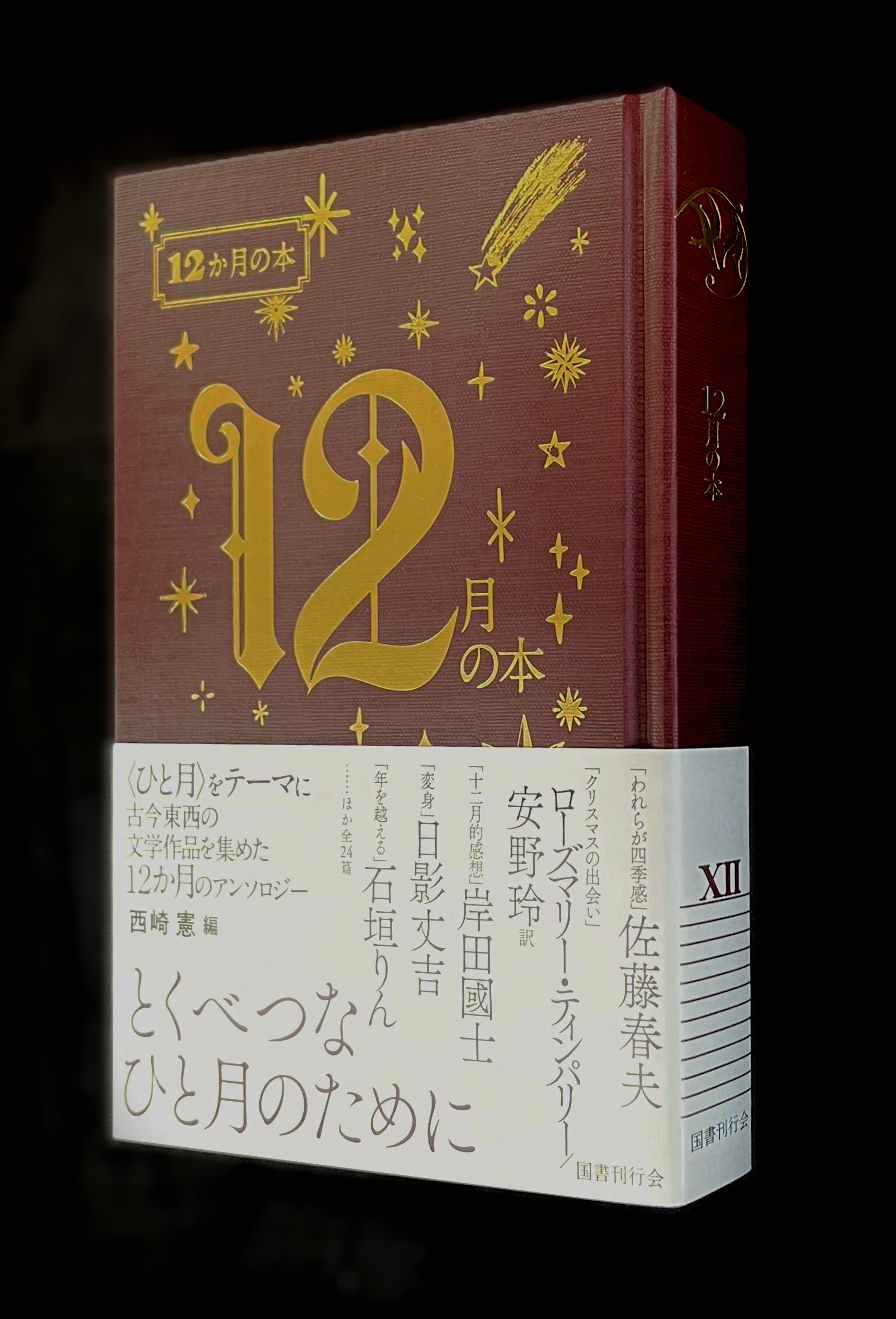 行書字典　国書刊行会 中国行書大字典 上下2冊 中国語書道字典/中国行书大字典