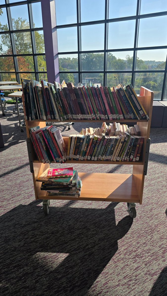 SeidlSTEAMspace's tweet image. Looking forward to another day of exploring our library for new books tomorrow! Students have been so excited to find awesome books to read. We have a cart full of brand new books! I also had help from my first helper of the year who made a wonderful book display to showcase!