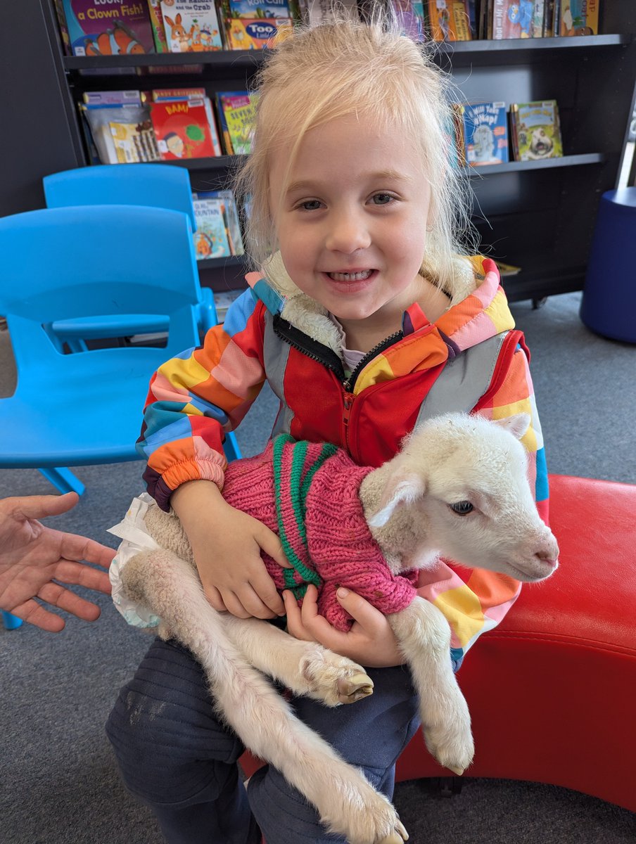 MacquarieRegLib's tweet image. We had a wooly wonderful time at a recent storytime at Coonabarabran Library!

The children had a great time reading Poddy&apos;s Jumper by Patricia Bernard with a few local lambs. 🐑

The lambs are welcome baaaack any time. 👋