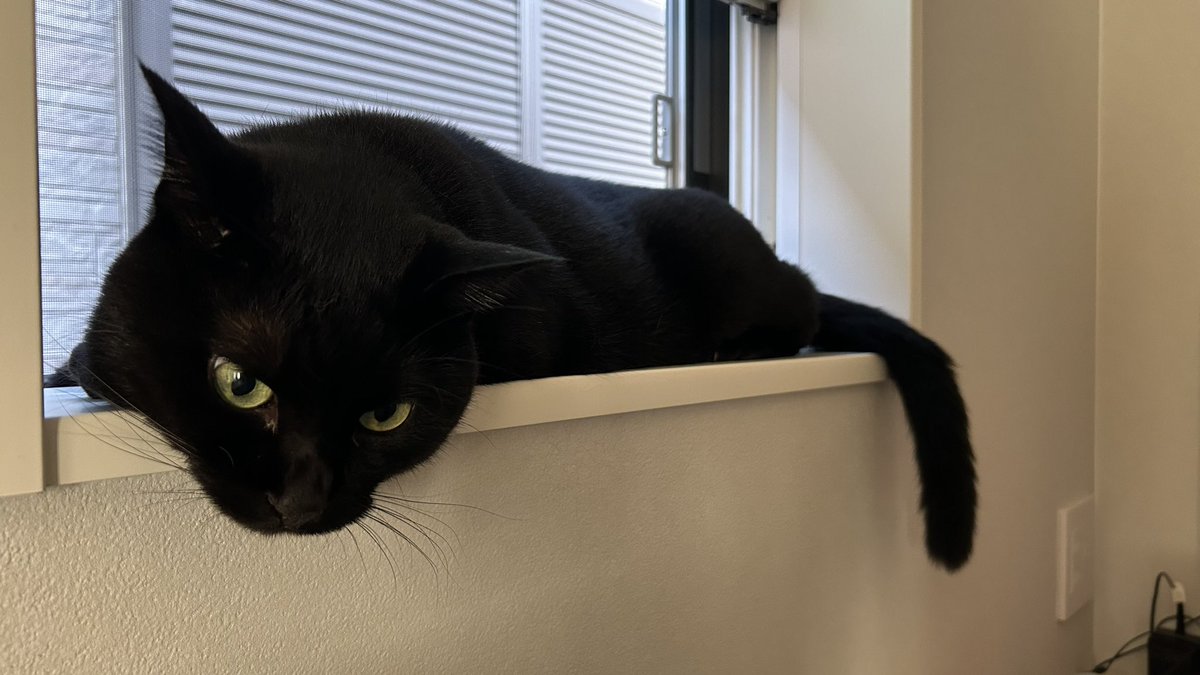 液体化すこし前