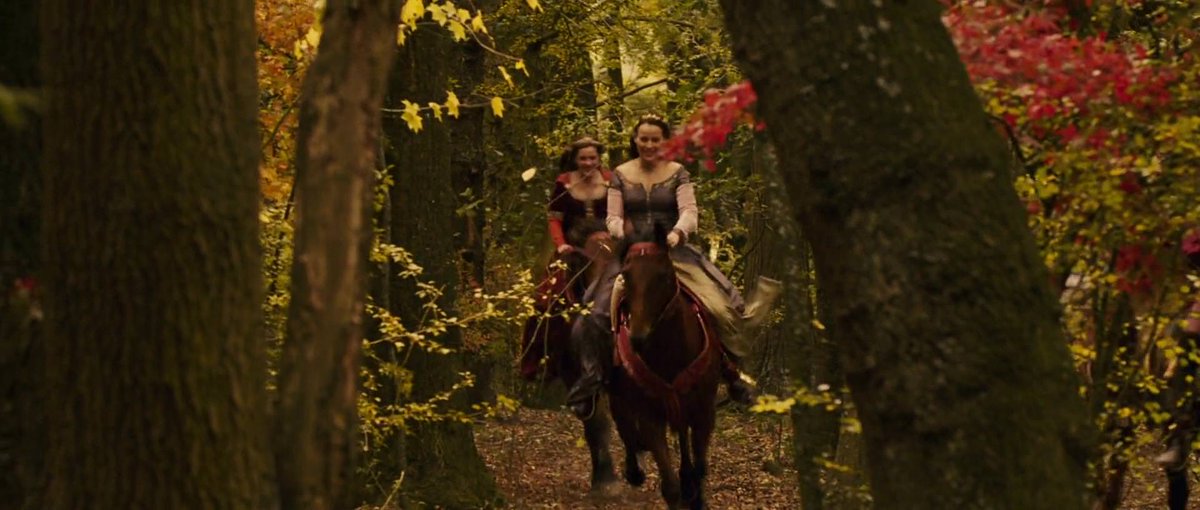 NarniaWeb tweet media