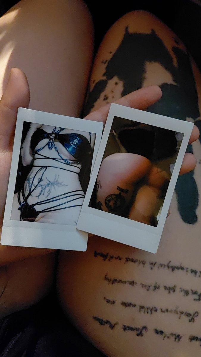 Larkspur tweet media