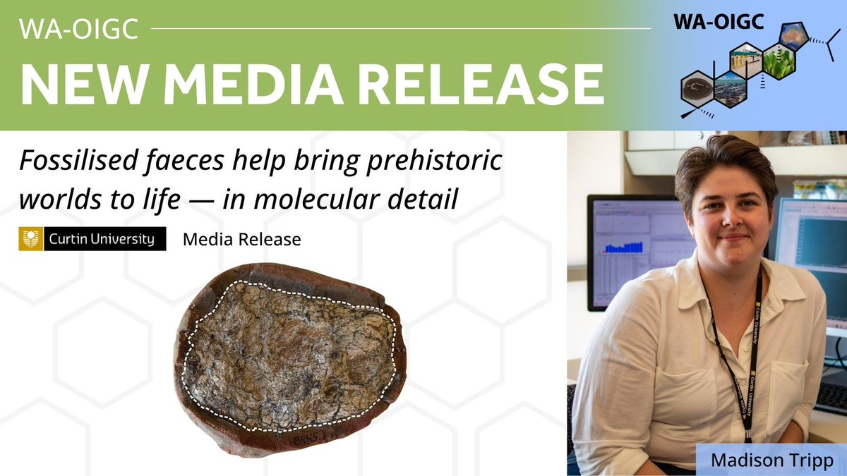 💩🔬 Ancient droppings, modern science!
Research led by <a href="/MadisonTripp_/">Madison Tripp</a>  shows iron carbonate grains in 300M-yr-old coprolites acted as tiny time capsules, preserving biomolecules that reveal ancient diets &amp; ecosystems. 🌍✨
Read more 👉 curtin.edu.au/news/media-rel… 
<a href="/CurtinMedia/">Curtin Media</a>