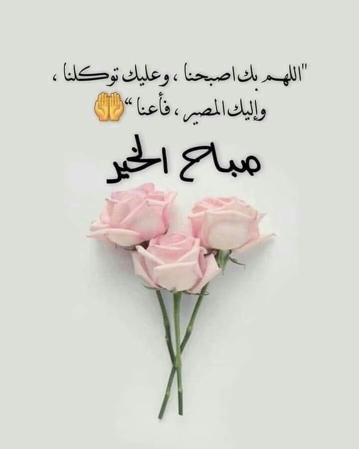 #صباح_الخيرᅠ #صباح_الأشياء_المُشرقة 

  🌿🌿 وهج الطمأنينة 🌿🌿

“بالطمأنينة تهدأ النفوس، وتصفو القلوب، فيغدو الطريق أهدأ والحياة ألين.”