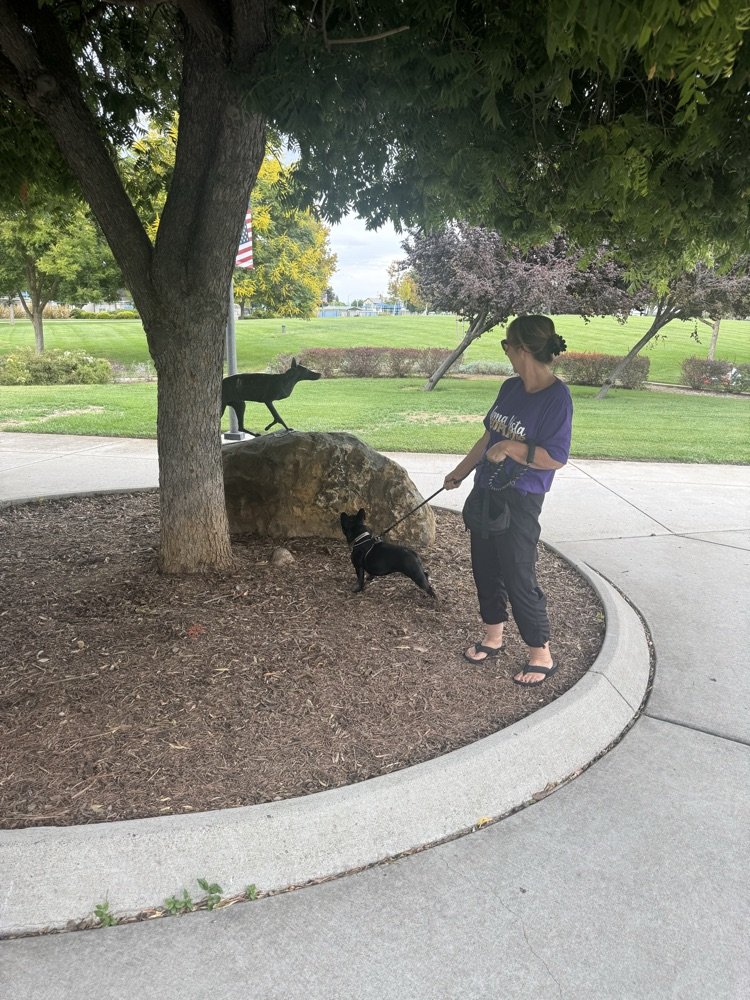 JulieCroy11's tweet image. Loma Vista’s first Belonging Bunch gathering at Veteran’s Park! It was so amazing to connect with families . We even met Mrs. Sander’s dog! #lvpride #weareBUSD