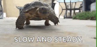 SteadyCoinsol's tweet photo. $steady https://t.co/D5IfQr5874